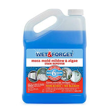 Load image into Gallery viewer, Wet and Forget 800006 1 Gallon Outdoor Moss Mold Mildew Cleaner Remover, 4-Pack
