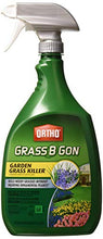 Load image into Gallery viewer, Ortho Lands B-Gon Grass Killer for Landscapes Rtu 24 Oz
