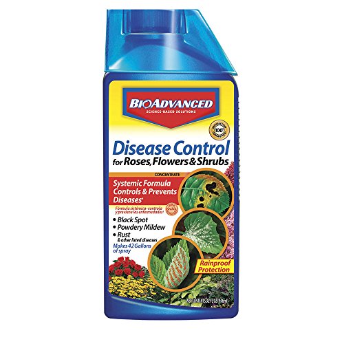 Bayer Advanced 701250 Disease Control for Rose, Flower and Shrubs Concentrate, 32-Ounce