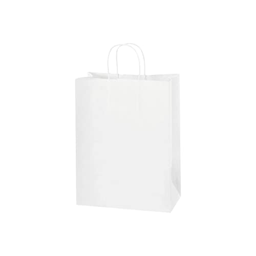Box King BGS104W Paper Shopping Bags, 10
