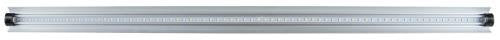 SunBlaster 904274 SL0900703 High Output LEDStrip, 6400K, 36W, 3' Grow Light, Glass