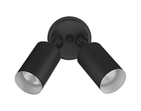 NICOR Lighting 100W Black Double Cylinder Adjustable Security Flood Light (11521)