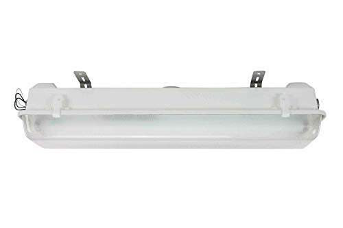 Class I Division 2 LED Light - 2 Foot 2 lamp - Corrosion Resistant Construction (Saltwater)