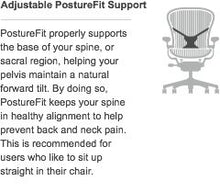 Load image into Gallery viewer, Herman Miller Aeron PostureFit Lumbar Support Add-On Kit - Graphite - Fits Size C Chair
