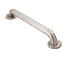 Load image into Gallery viewer, Moen R8924P Home Care 24-Inch Concealed Screw Bath Safety Bathroom Grab Bar, Peened
