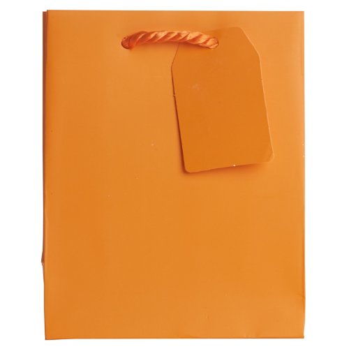 Jillson Roberts BST927 Bulk Small Gift Bags Available in 14 Colors, Orange Matte, 120-Count