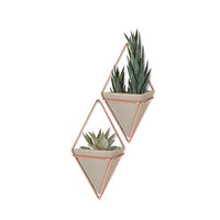 Umbra Trigg Hanging Planter Vase & Geometric Wall Decor Containers For Succulents, Air, Mini Cactus,