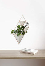 Load image into Gallery viewer, Umbra Trigg Hanging Planter Vase &amp; Geometric Wall Decor Containers For Succulents, Air, Mini Cactus,
