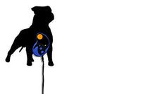 Staffordshire Bull Terrier Dog - Custom Name Dog Leash Holder - Wall Hook