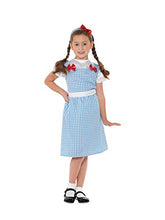 Load image into Gallery viewer, Country Girl Costume Blue
