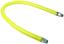 Load image into Gallery viewer, T&amp;S Brass HG-2E-36 Gas Hose with Free Spin Fittings, 1-Inch Npt and 36-Inch Long
