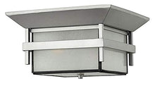 Load image into Gallery viewer, Hinkley Harbor Collection Transitional Two Medium Outdoor Light Flush Mount, Titanium
