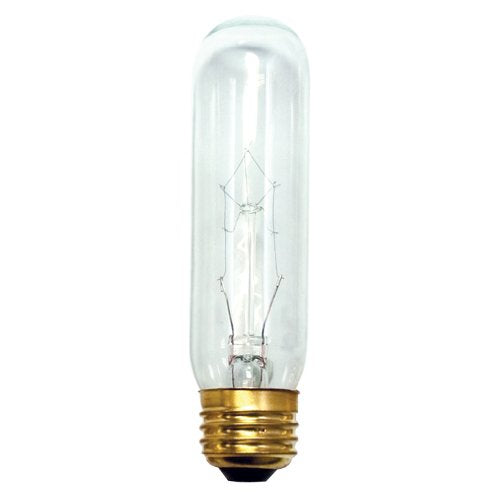 Bulbrite Incandescent 40 Watt Clear Light Bulb, E26 Base Warm White 2700K