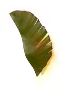 Banana Leaf 2-Light Wall Sconce - Banana Leaf Finish