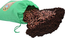 Load image into Gallery viewer, Uncle Jim&#39;s Worm Farm European Nightcrawlers Composting and Fishing Worms 1 Lb Pack
