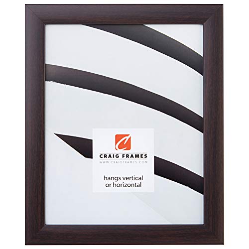 Craig Frames 23247778 20 By 20 Inch Picture Frame, Smooth Wrap Finish, 1 Inch Wide, Brazilian Walnut