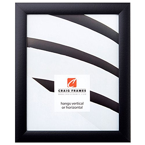 Craig Frames 1WB3BK 8 by 20-Inch Picture/Poster Frame, Smooth Finish, 1-Inch Wide, Matte Black
