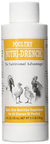 BOVIDR LABORATO 617407594416 Nutri-Drench Poultry Solution 4 FL OZ, Multicolor