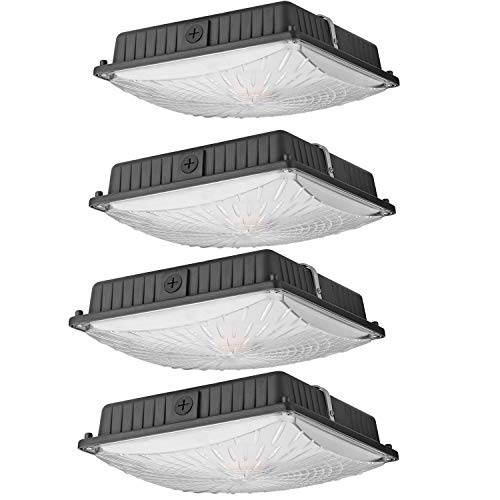 1000LED 4-Pack 45W LED Canopy Light 5,300 Lumens 10