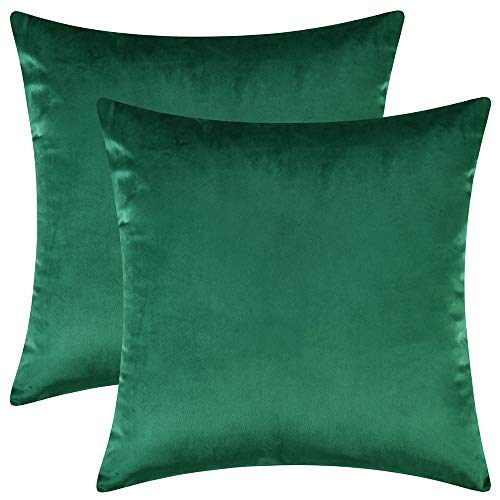Artcest Set of 2, Cozy Solid Velvet Throw Pillow Case Decorative Couch Cushion Cover Soft Sofa Euro Sham with Zipper Hidden, 18