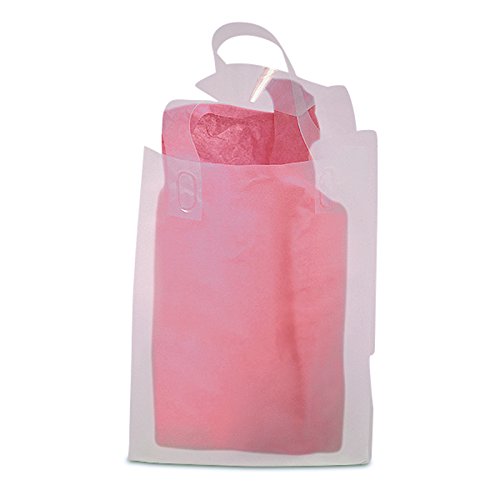 Clear Frosted Plastic Bags 10