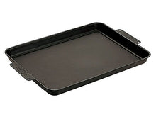 Load image into Gallery viewer, Snow Peak Iron Griddle - Perfect for Cooking Over a Fire or BBQ - 21.75 x 13 x 1.4 in
