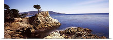 Load image into Gallery viewer, GREATBIGCANVAS Entitled Cypress Tree at The Coast, The Lone Cypress, 17 Mile Drive, Carmel, California, Poster Print, 90&quot; x 30&quot;, Multicolor
