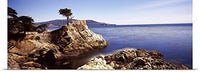 GREATBIGCANVAS Entitled Cypress Tree at The Coast, The Lone Cypress, 17 Mile Drive, Carmel, California, Poster Print, 90