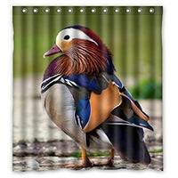 FUNNY KIDS' HOME Fashion Design Waterproof Polyester Fabric Bathroom Shower Curtain Standard Size 66(w) x72(h) with Shower Rings - Beautiful Feathers of The Mandarin Duck