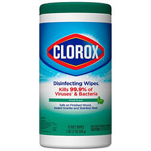 Load image into Gallery viewer, Clorox Disinfecting Wipes Disinfecting Fresh Scent Canister 75 Count
