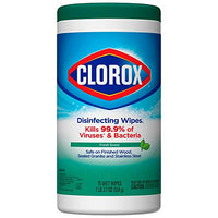 Clorox Disinfecting Wipes Disinfecting Fresh Scent Canister 75 Count