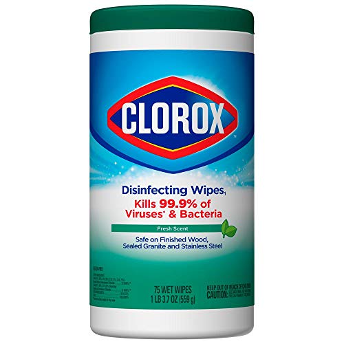 Clorox Disinfecting Wipes Disinfecting Fresh Scent Canister 75 Count
