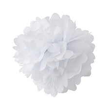 Load image into Gallery viewer, WYZworks Set of 8 (Assorted Pink and Cream Color Pack) 8&quot; 10&quot; 12&quot; Tissue Pom Poms Flower, Halloween Party , Decorations for Weddings, Birthday, Bridal, Baby Showers Nursery, Dcor
