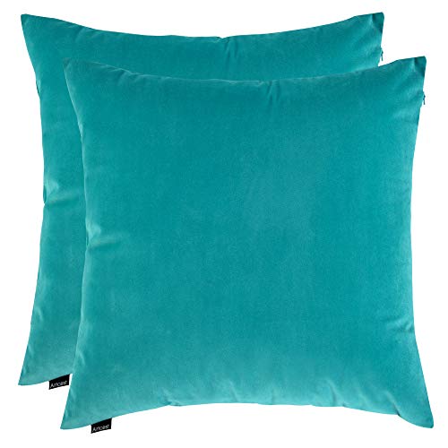 Artcest Set of 2, Cozy Solid Velvet Throw Pillow Case, Decorative Couch Cushion Cover, Soft Sofa Euro Sham with Zipper Hidden, 16