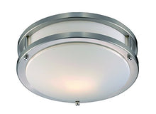 Load image into Gallery viewer, Trans Globe Imports PL-10260 BN Transitional One Light Flushmount from Barnes Collection in Pewter, Nickel, Silver Finish, 9.50 inches
