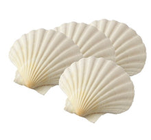 Load image into Gallery viewer, HIC Harold Import Co. 45678 Maine Man Baking Shells, 4 Inch, Set of 4, Natural Seashell
