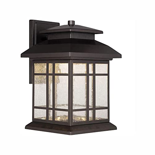 Designers Fountain Piedmont 12.75in H Outdoor LED Wall Lantern Sconce, 3000K Soft White, Oil Rubbed Bronze, LED33431-ORB