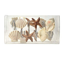Load image into Gallery viewer, AGPtek 12 PCS Fashion Decorative Home Bathroom Seashell Shower Curtain Hooks (Seashell: Light Brown, Starfish: Tan, Conch: Light Brown)

