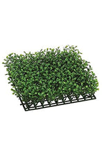 Load image into Gallery viewer, 10&quot;Wx10&quot;Lx3&quot;H UV-Proof Outdoor Artificial Boxwood Topiary Mat -Green (case of 6)
