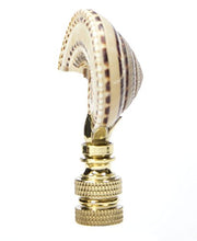 Load image into Gallery viewer, Sun Dial Shell Lamp Finial with Polished Brass Base 3&quot;h
