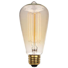 Load image into Gallery viewer, Westinghouse Lighting 0413200 60 Watt ST20 Clear Timeless Vintage Inspired Bulb with Medium Base
