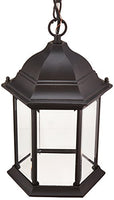 Acclaim 5186BK Madison Collection 1-Light Outdoor Light Fixture Hanging Lantern, Matte Black