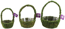 Load image into Gallery viewer, SuperMoss (55510) Miramonte Deco Basket, Fresh Green, Set of 3
