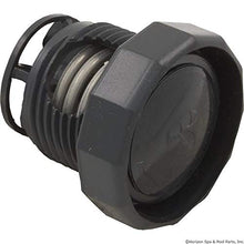 Load image into Gallery viewer, Zodiac 9-100-3011 Pressure Relief Valve Replacement
