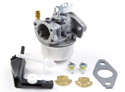 The ROP Shop Compatible Carburetor Replacement for Briggs & Stratton 697354/790290/791077/698860, Model 798653