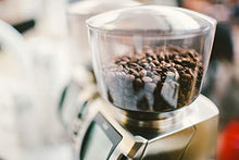 Load image into Gallery viewer, Baratza Forte BG (Brew Grinder) Flat Steel Burr Commercial Coffee Grinder
