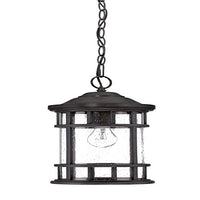 Acclaim 31946BC New Vista Collection 1-Light Outdoor Light Fixture Hanging Lantern, Black Coral