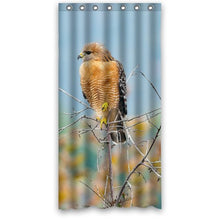 Load image into Gallery viewer, FUNNY KIDS&#39; HOME Fashion Design Waterproof Polyester Fabric Bathroom Shower Curtain Standard Size 36(w) x72(h) with Shower Rings - Bird Predator Hawk Twigs
