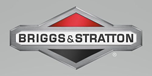 Briggs & Stratton # 491503 FAN (1000W)