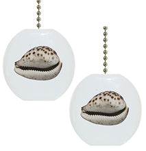 Load image into Gallery viewer, Set of 2 Cowrie Seashell Solid Ceramic Fan Pulls
